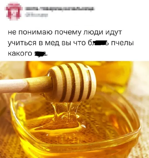 Вы что, пчёлы?