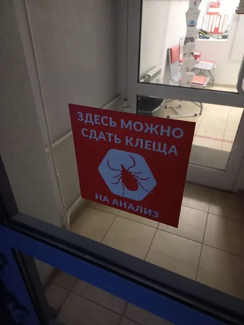 Здесь можно сдать клеща