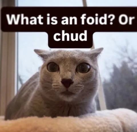 What Is an Foid or Chud