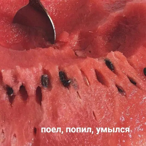 Поел, попил, умылся