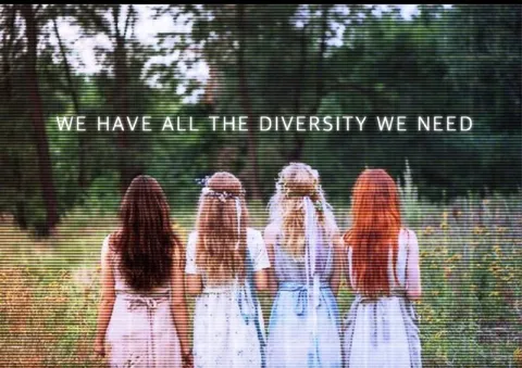 We Have All the Diversity