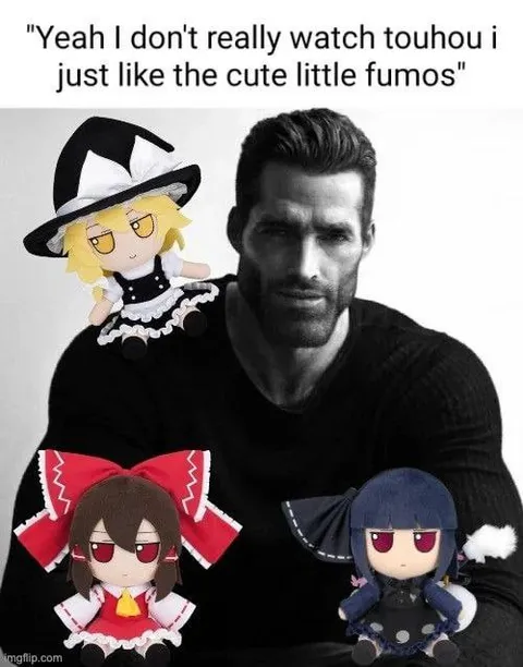 GigaChad Likes Cute Touhou Fumos