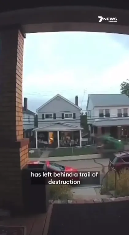 Ten-Year-Old Bobcat Joyride