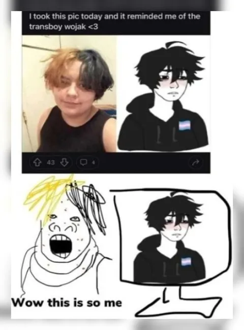 Trans Boy Wojak Is So Me