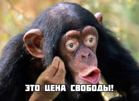 Это цена свободы