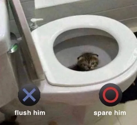 Flush Him or Spare Him