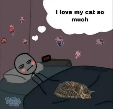 I Love My Cat So Much