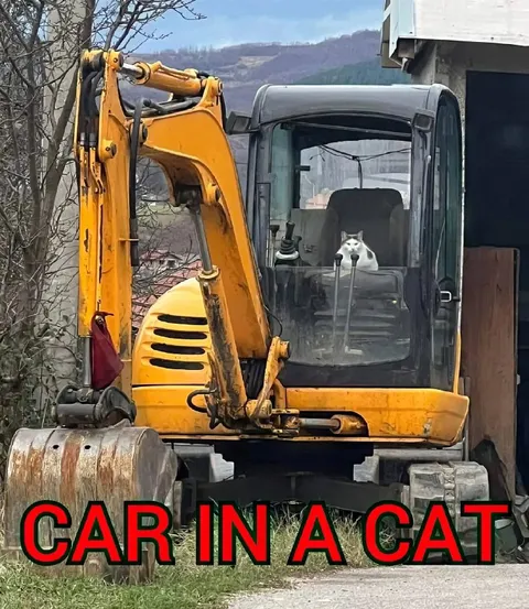 Cat in an Excavator
