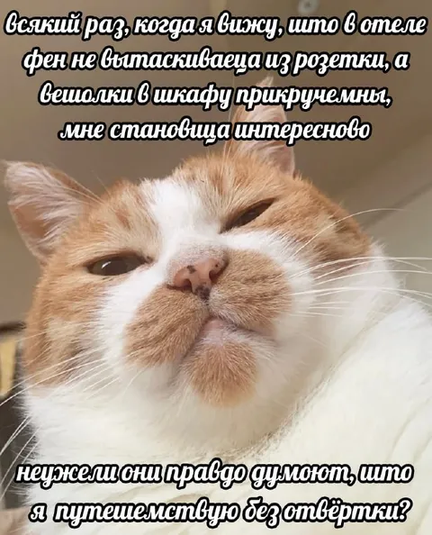 Путешествие без отвёртки
