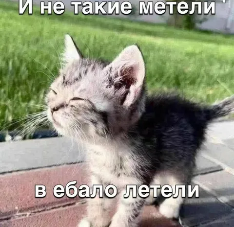 И не такие метели