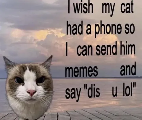 I Wish My Cat Had a Phone