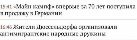 Майн кампф и народные дружины