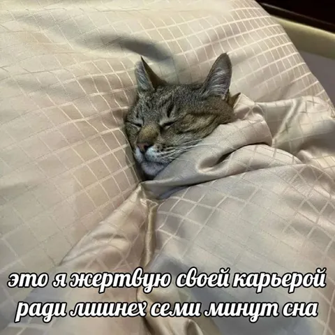 Семь минут сна вместо карьеры