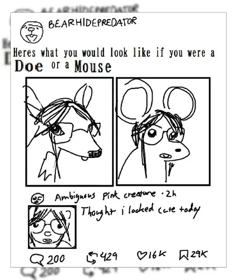 Doe or Mouse Transformation