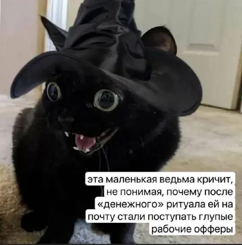 Маленькая ведьма и рабочие офферы