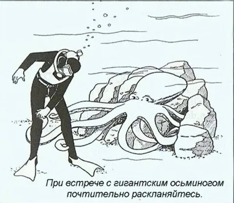 Почтительный поклон гигантскому осьминогу