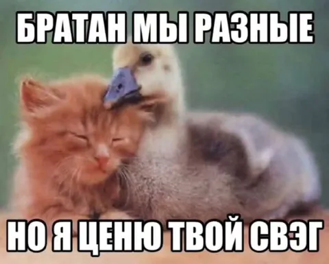 Братан, мы разные