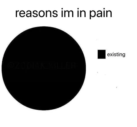 Reasons I'm in Pain