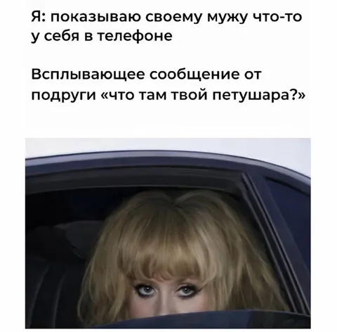 Сообщение про петушара
