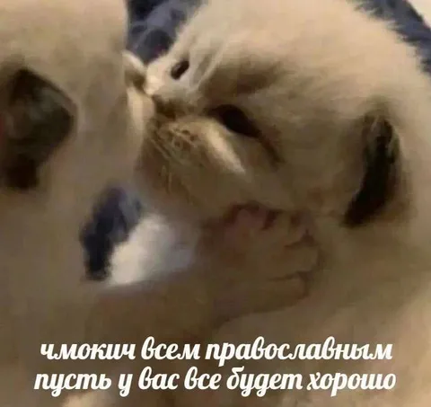 Чмоки всем православным