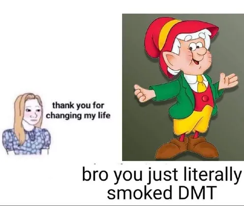 You Just Smoked DMT