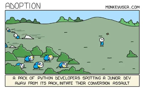 Python Developers Spot a Junior Dev