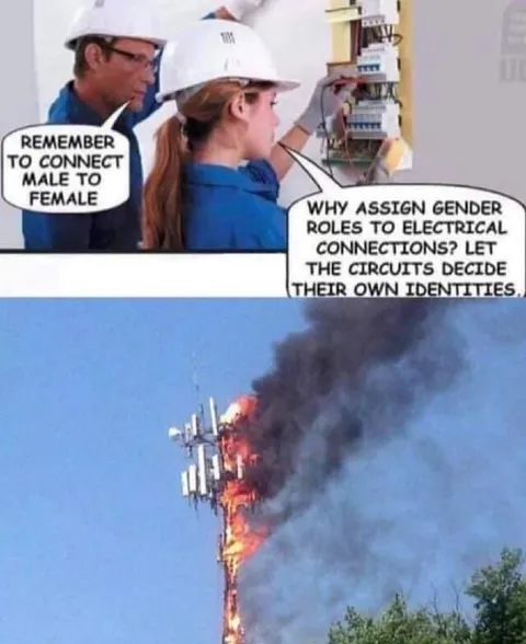Let the Circuits Decide