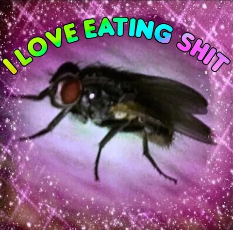 I Love Eating Shit Fly Meme