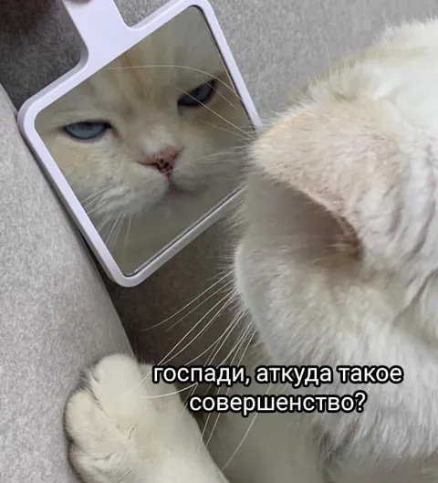 Госпади, откуда такое совершенство