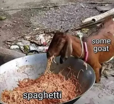 Goat Eating Spaghetti