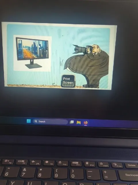 Taking a Print Screen Literally