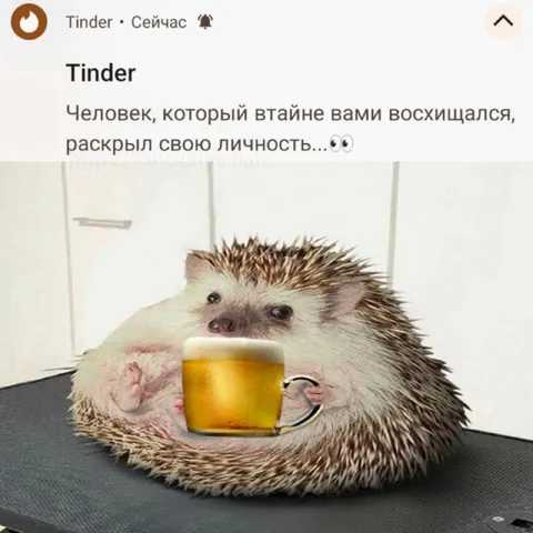 Тайный поклонник раскрылся