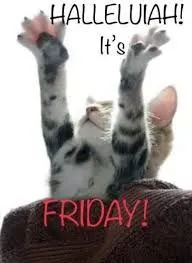 Hallelujah It's Friday Cat