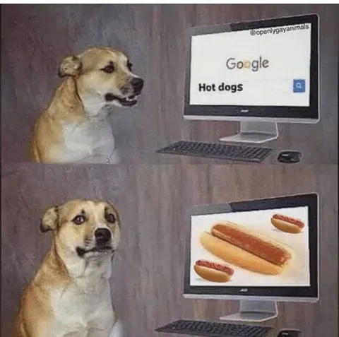Dog Searches for Hot Dogs