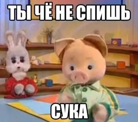 Ты чё не спишь сука