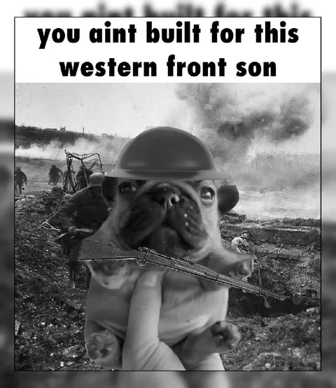 Pug on the Western Front
