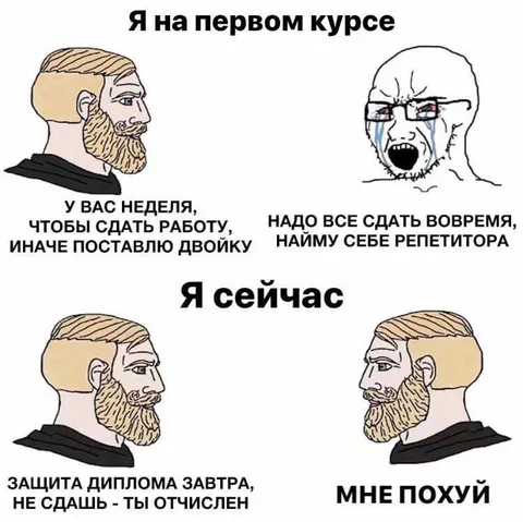 Я на первом курсе и сейчас