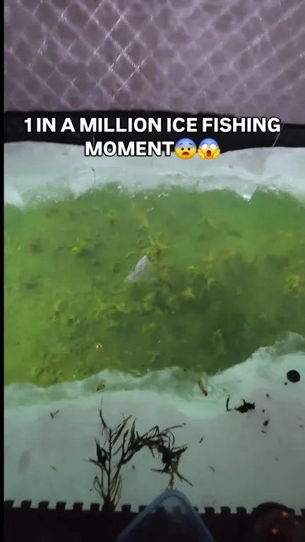 One in a Million Ice Fishing Moment