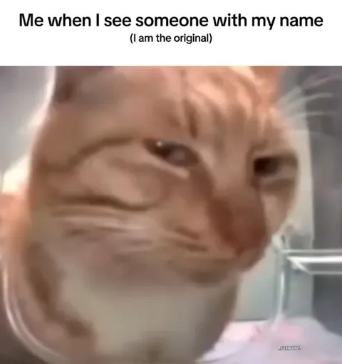Cat Sees Someone With My Name