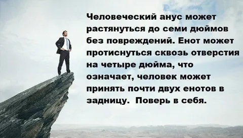 Поверь в себя и двух енотов