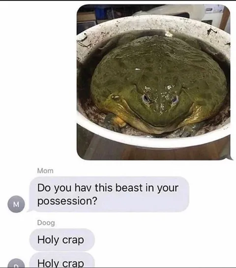 Do You Have This Beast