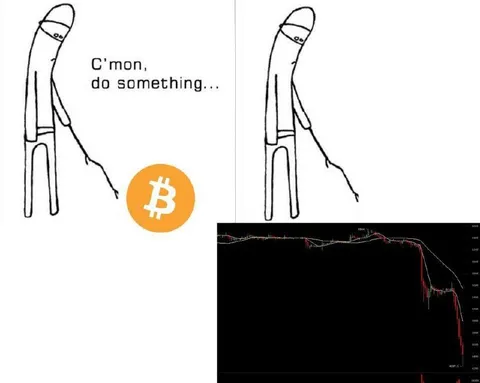 Bitcoin Crash C’mon Do Something