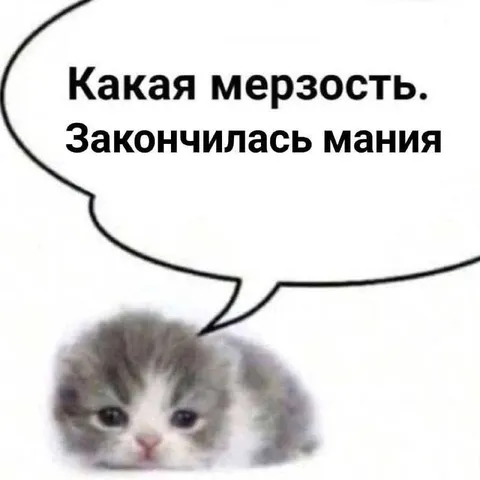 Грустный кот о конце мании