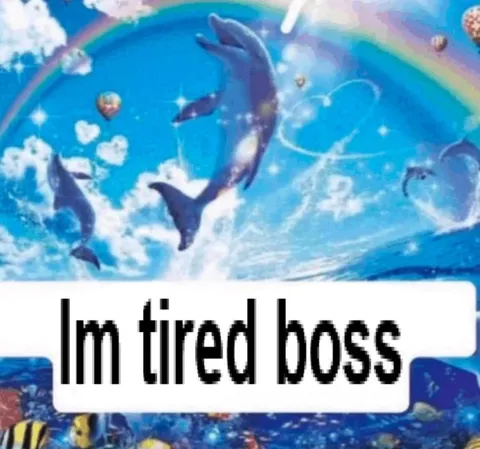 Im tired boss dolphin meme