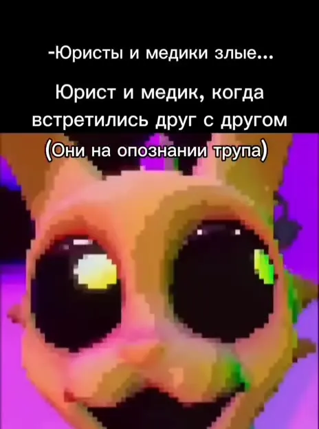 Юрист и медик встретились