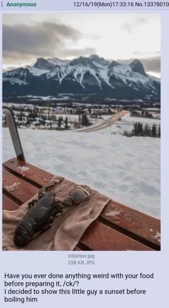 Lobster Watches the Sunset