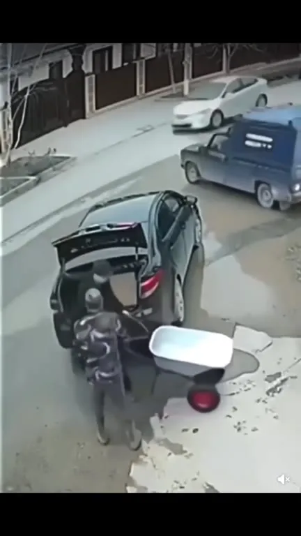Нелепый побег с тележкой