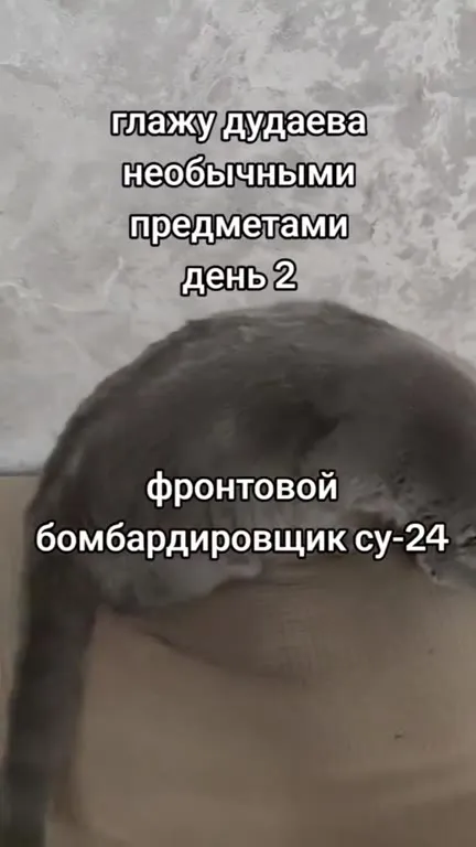 Фронтовой бомбардировщик гладит кота