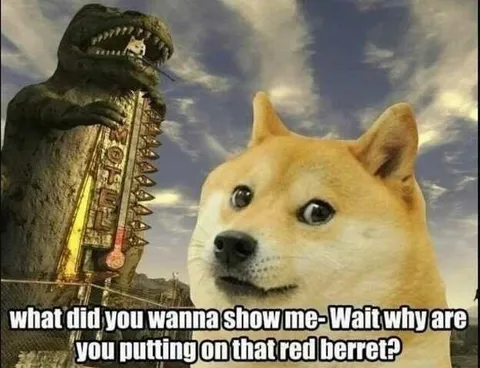 Doge Puts on the Red Berret
