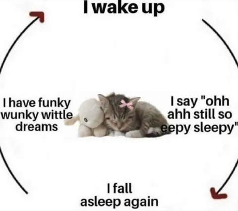 Funky Wunky Wittle Dreams